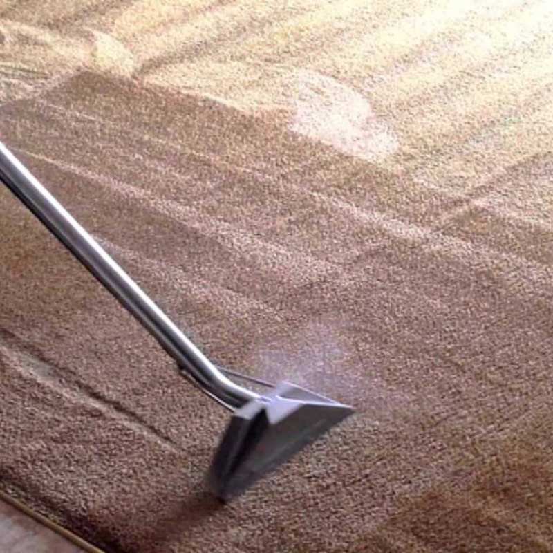 Limpieza profesional de alfombras